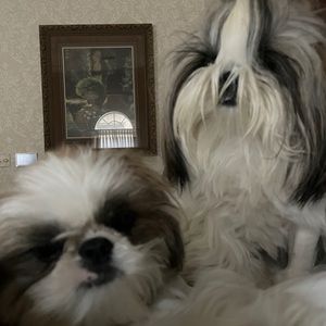 Meet your Posher, Marla